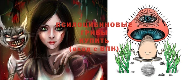 ECSTASY Алексин